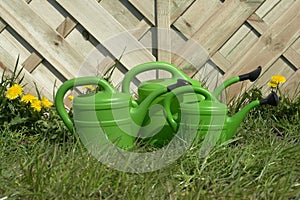 Green watering cans on lawn