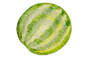 Green watermelon painted in watercolor and isolated on a white background.