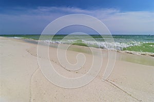 Green wave on the ocean shore