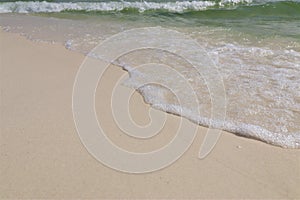 Green wave on the ocean shore