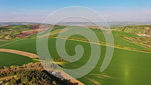 Green wavy hills with agricultural fields