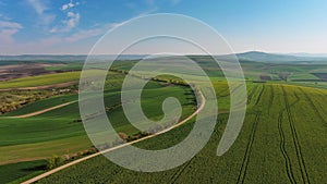 Green wavy hills with agricultural fields