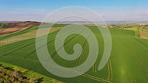 Green wavy hills with agricultural fields