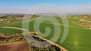 Green wavy hills with agricultural fields