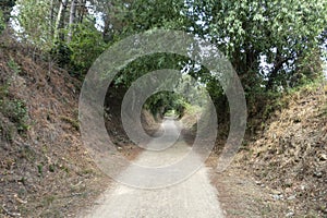 The green way of the carrilet path of Olot