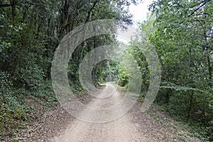 The green way of the carrilet path of Olot