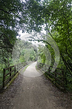 The green way of the carrilet path of Olot