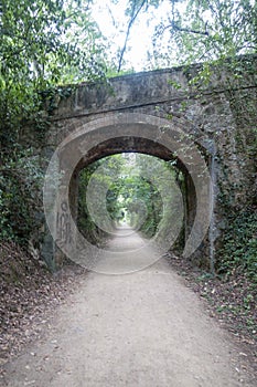 The green way of the carrilet path of Olot