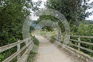 The green way of the carrilet path of Olot