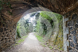 The green way of the carrilet path of Olot