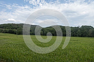 The green way of the carrilet path of Olot