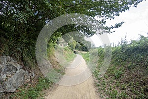 The green way of the carrilet path of Olot