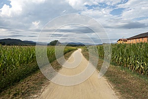 The green way of the carrilet path of Olot