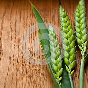 Green Wheat