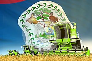 Green wheat agricultural combine harvester on field with Belize flag background, food industry concept - industrial 3D