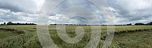 Green wheat field with cloudy sky - Panorama