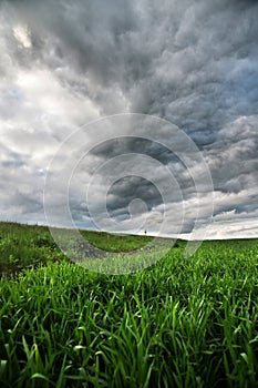 Green wheat field with low clouds and dramatic clouds after sunset. Rich contrast