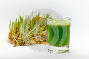 Green Wheatgrass juice in a transparent glass. Behind a glass cut sprouted wheat on a white background