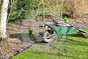 Green wheelbarrow in the garden