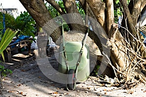 A green wheelbarrow leaning against a tropical tree Ari Atoll,Maldives