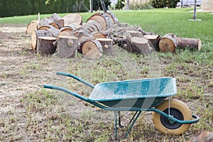 A green wheelbarrow ready to transport the pine trunks