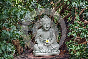 Green, white, calm, peace, statue, flower, culture, old, spiritual, buddhism, abstract, figure, zen, garden, temple, religion, bud