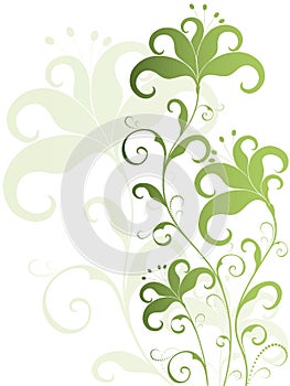 Green and white flower background