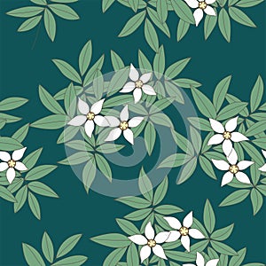 Green White Flower Seamless Pattern (Choisya ternata)