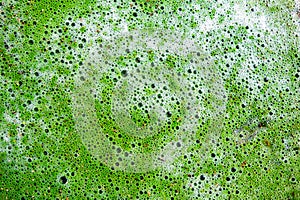 Green and white pollutant liquid with bubbles and foam