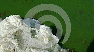 Green and white pollutant liquid with bubbles and foam