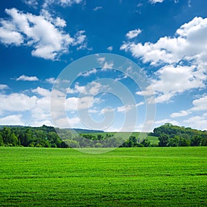 Green wide field with trees on horizon