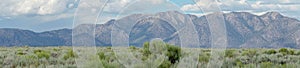 Green wild land with sagebrush plant and mountain