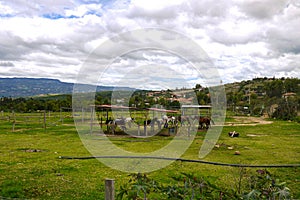 Blue Wells and natural park in Villa de Leyva, Colombia photo