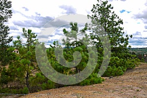 Blue Wells and natural park in Villa de Leyva, Colombia photo