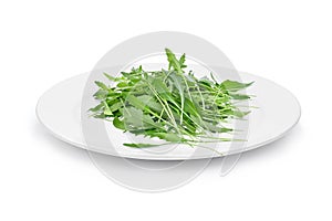 Green wild rocket leaves in the white plate on white