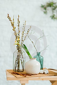 Green willow branches and daffodils in simple vases on the table with Easter decor
