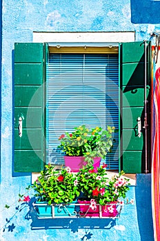 Green window with shutter and decorative flowers in pot