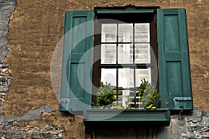 Green Window Shutters with Flower Box