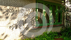 Green window and tree shade in the garden photo