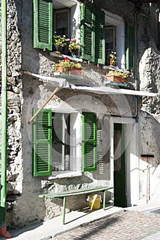 Green windows in old facade house