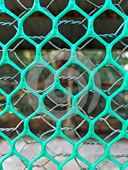 Green wire mesh fence background, close up of wire mesh fence