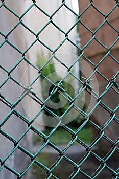Green wire mesh in form of fence or hedge