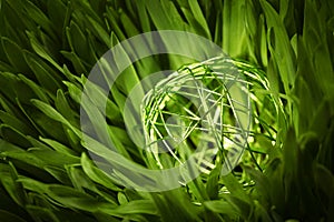 Green wire orb in meadow
