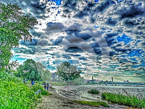 in the Green wirh View in the other Side of the River Rhein in Cologne Germany Nature sandbeach and trees