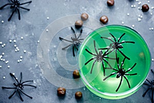 Green witch drink or jelly in glass with spiders, Halloween food