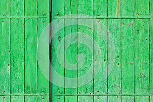 Green wood background