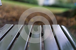 Green wood park bench in autumn fall season