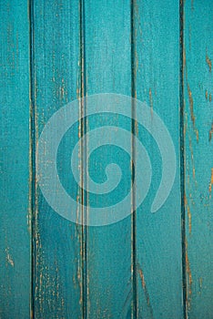 Green wood structure as a background texture vignette