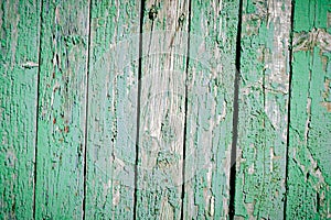 green wood texture from wide dry boards green background from old wood