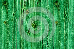 Green wooden background. St. Patrick`s Day Textured old wood with frayed and knotted texture. Spring holidays concept.